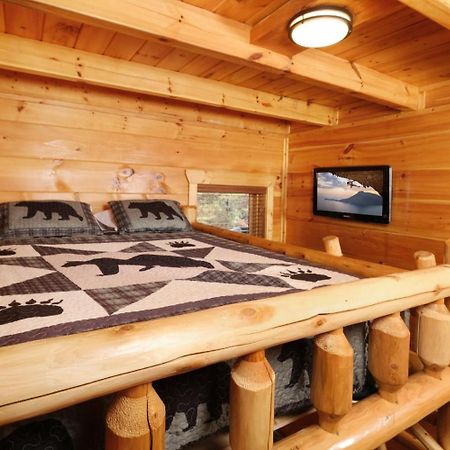 Smoky Vista Lodge Sevierville Bagian luar foto